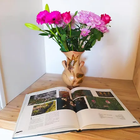 Semesterbostad Ecogite De L'adonis *