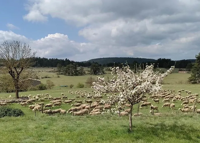 Ecogite De L'adonis Vakantiehuis *