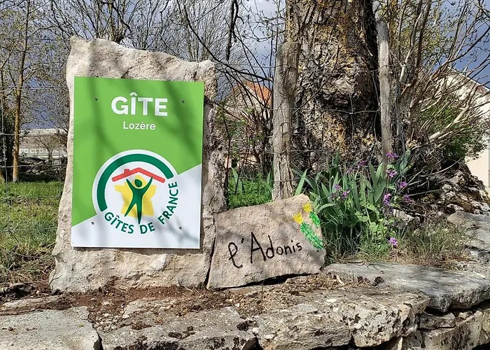 Ecogite De L'adonis Saint-Bauzile (Lozere)