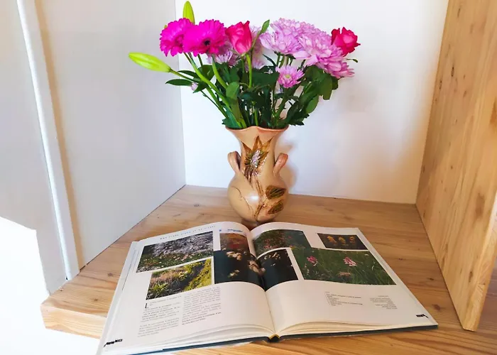 Vakantiehuis Ecogite De L'adonis *